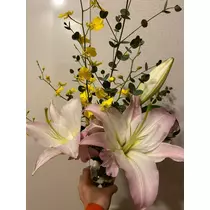 美月