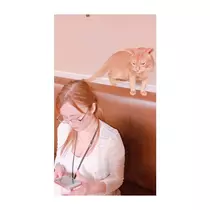 蓮