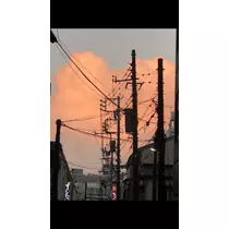 心