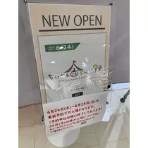 大園 桃子