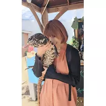 りか