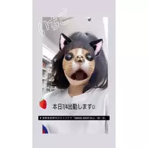 はづき
