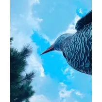 ゆかり