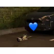 めい