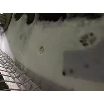 ハル