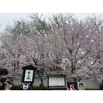 美月