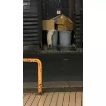 あんな