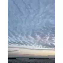七星 ゆめ