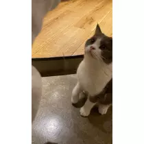 みおち