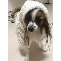 ティナ