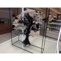 空条 しいな