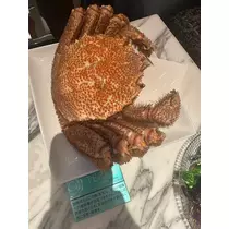 日向 茉莉
