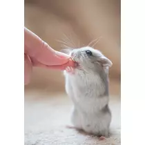ゆあ