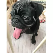 あきな