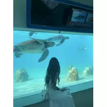 かのん
