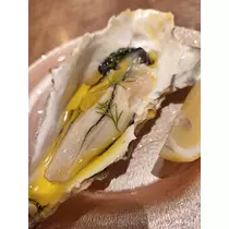 紫音