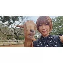 りか
