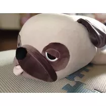 ひな