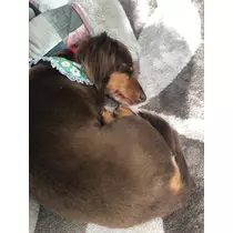 美月