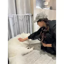 彩木 美玖