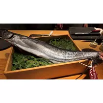 華宮 りりあ