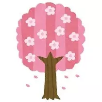 きょう