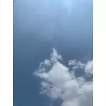恵里