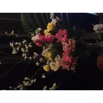 蓮見 リア