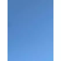 きょう
