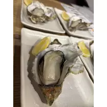 田中 レイ
