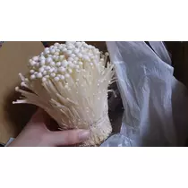 七星 夏純
