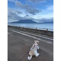 めい