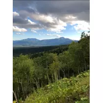 宝條 夏恋