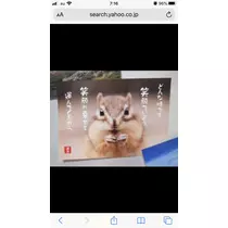 宝條 夏恋