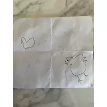 えりか