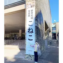 しおり