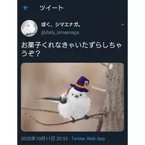 ひな