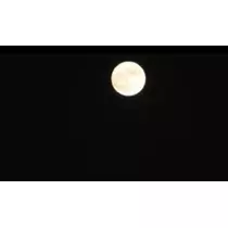 かおり
