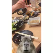 兎華多 あいす