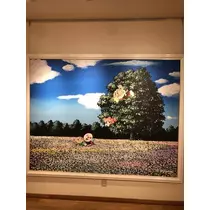 あやの