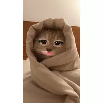 さお