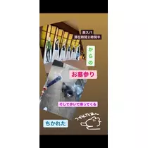 桜嬢