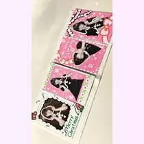 小鳥遊 もか