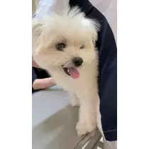朝陽 凪