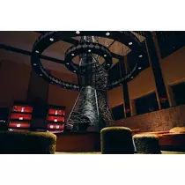 一条 彩由
