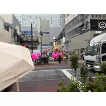 のどか