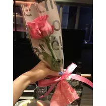 白石 愛莉