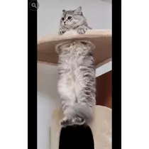 未来