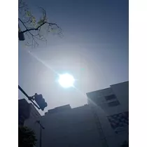 楓 あすか