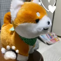 みき